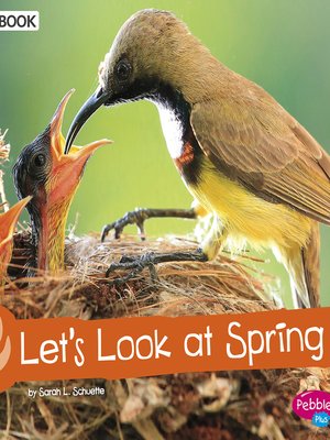 cover image of Let's Look at Spring